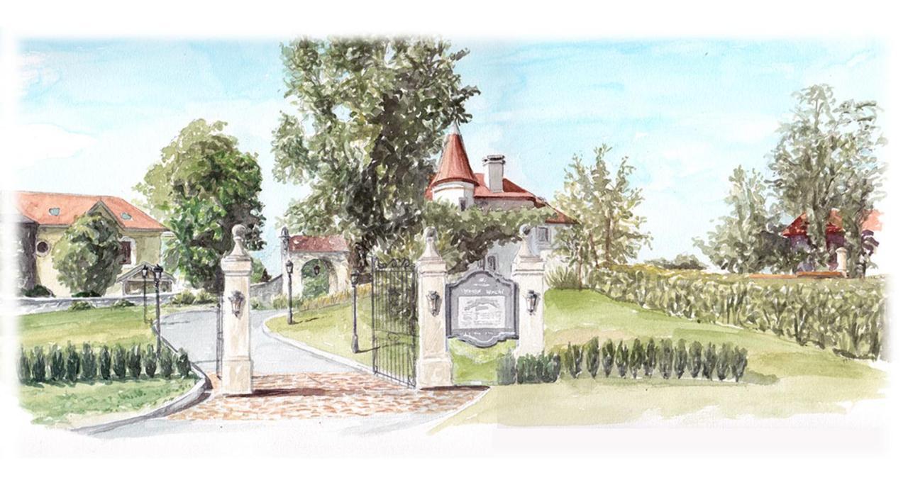 Chateau Brachet Grésy-sur-Aix Dış mekan fotoğraf
